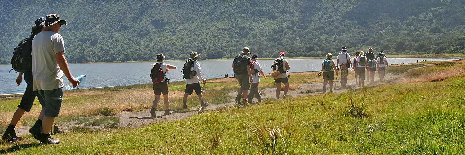 package hotel listing